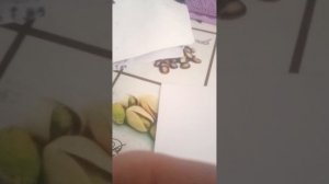 как сделать фурсьют из 2 бумаги 👁👄👁 похож на раш но она чёрно белая
