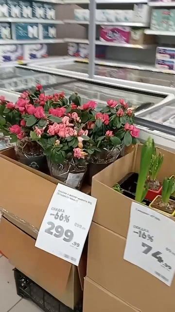 Праздник закончился скидки на цветы Вышний Волочёк9 м?