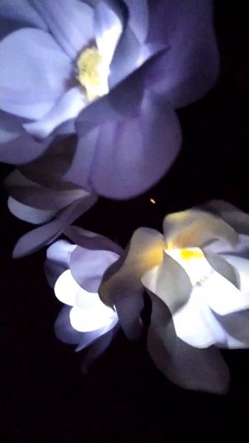 Вот такая красота может украшать ваш интерьер. #творче смотреть онлайн