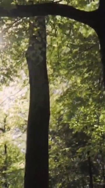 5 января 2024 г. смотреть онлайн