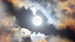 Шар луны под звездным абажуром (Эдуард Асадов)