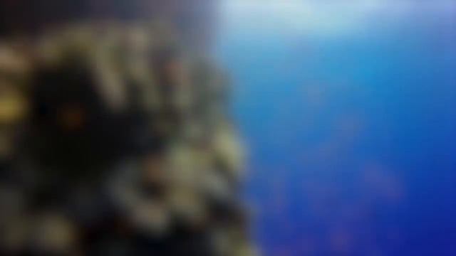 ЭТУ ПЕСНЮ ИЩУТ ВСЕ! Реально ДУШУ РВЕТ! #music #musica #bass #car #video #sports music #motivation смотреть онлайн