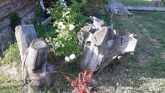 Видео № 244. Душевная экскурсия. Природный антураж, помогающий выжить смотреть онлайн