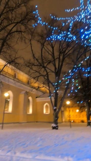 LED Trees in Tallinn / Светодиодные деревья в Таллинне смотреть онлайн