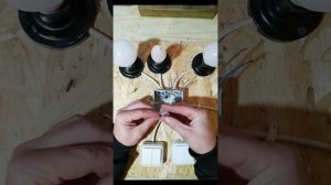 Как Подключить Двух И Одноклавишные Выключатели На Тр