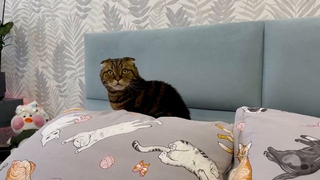 Раскрась свою жизнь | обзор умной лампочки Яндекс YNDX-000