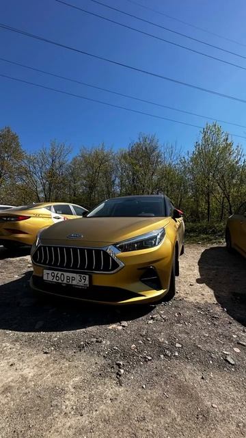 Авто в раскат в УК Золотая Жила. Преимущества смотреть онлайн