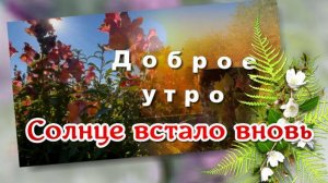 С добрым утром, солнце встало вновь. Улыбнись новому дню, песня с добрым утром