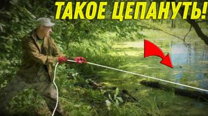 АБАЛДЕЛ Вытащив НАХОДКУ с БОЛОТА МАГНИТОМ, Такое ЦЕПАНУТЬ в Лесном ОЗЕРЕ никто НЕ ОЖИДАЛ!