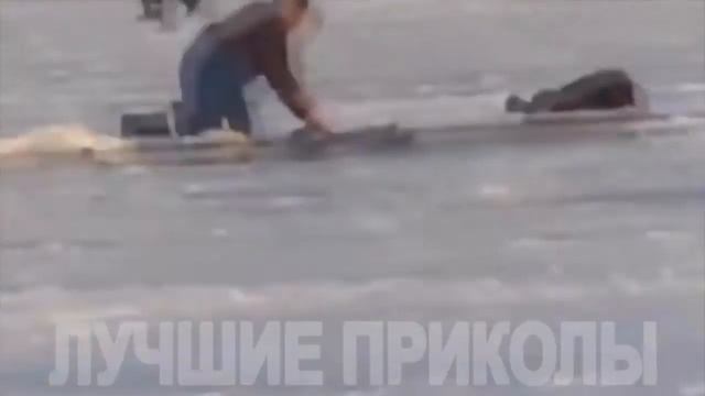 ПРИКОЛЫ для ВЗРОСЛЫХ 18 ОКТЯБРЬ Самые смешные приколы ОКТЯБРЬ 2016 Выпуск 38 смотреть онлайн