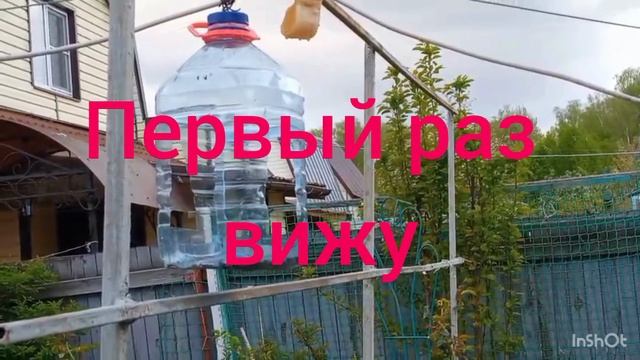 Такое вижу первый раз смотреть онлайн