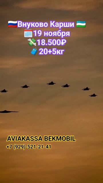 Энг арзон авиачипталар бизда #aviakassa #moskva #musofir #uzbekistan #ав смотреть онлайн