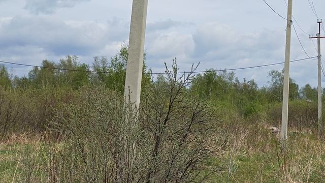 1000056722.mp4 смотреть онлайн