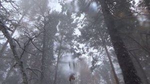 Рома Жуков - первый снег