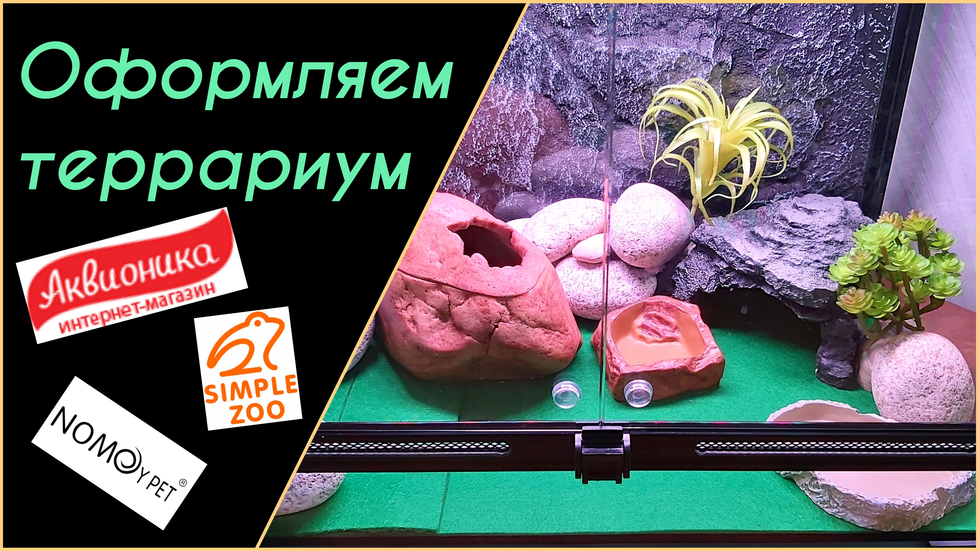 Оформляем новый террариум смотреть онлайн