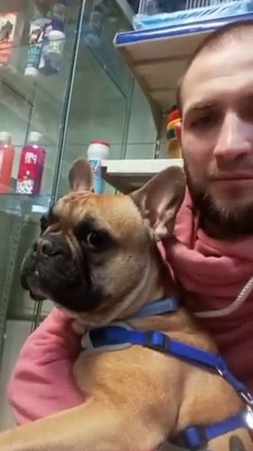 мой любимый покупатель