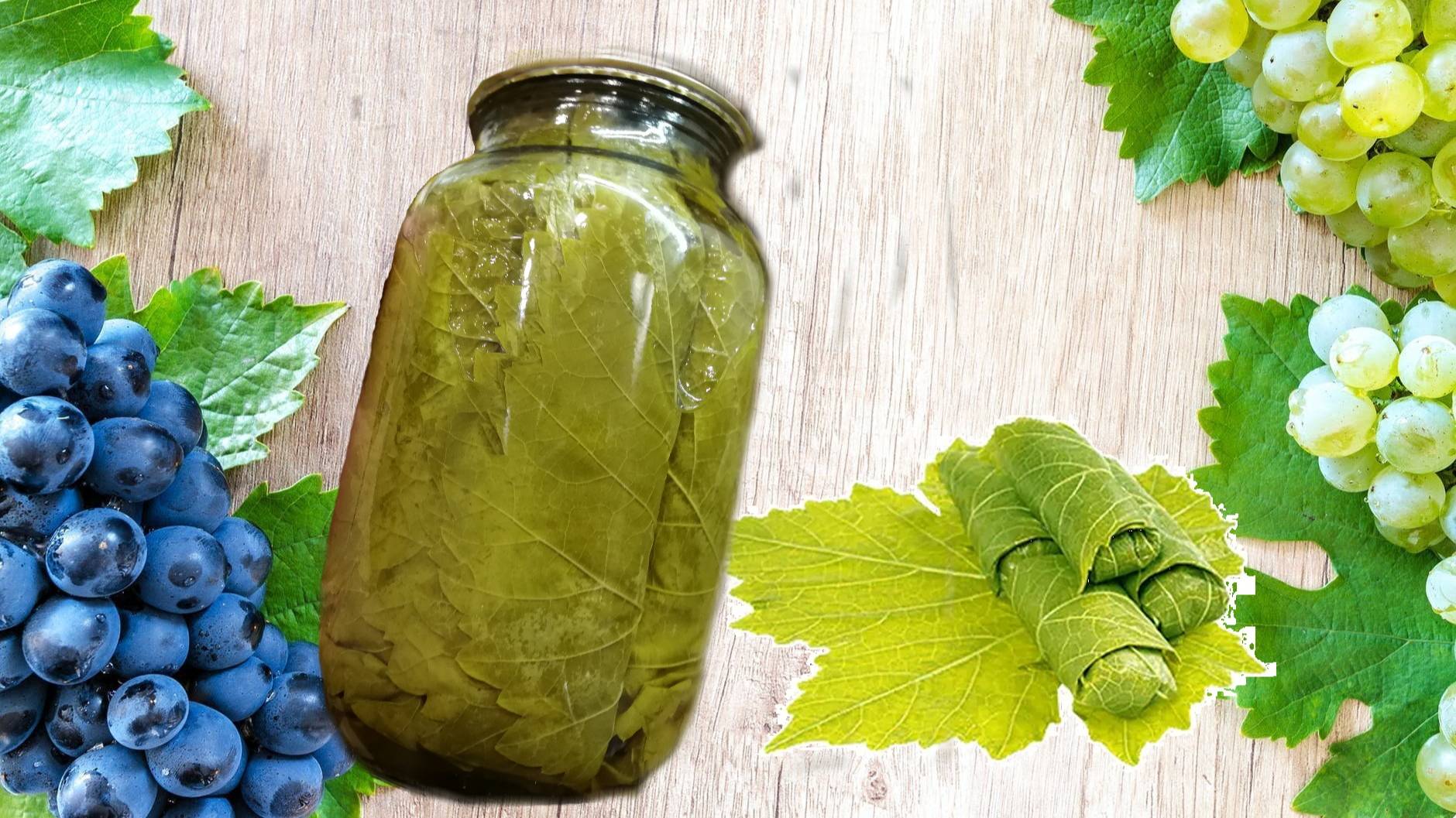 Маринованные виноградные листья