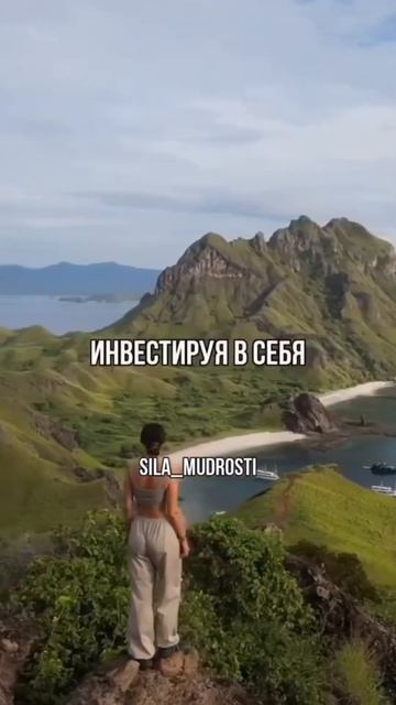 Забирай бесплатный курс по заработку на коротких виде