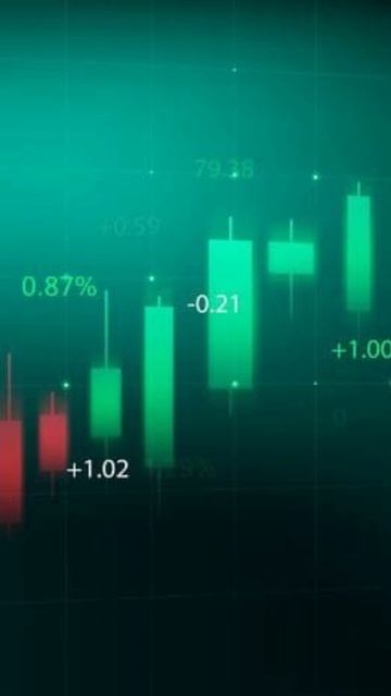 Фундамент SHIBA INU