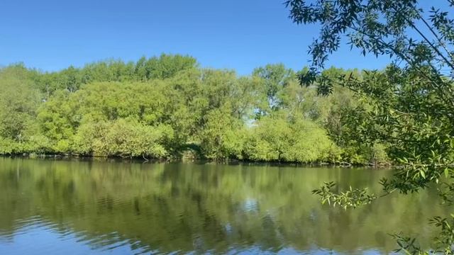 природа смотреть онлайн