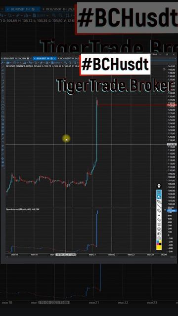 Биткоин кэш трансформирует структуру и я жду ещё немн? смотреть онлайн