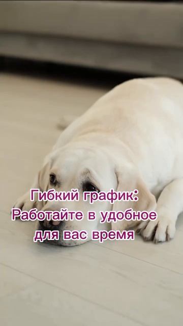 #Заработок # доход без вложений # Заработок# мамочек в д смотреть онлайн