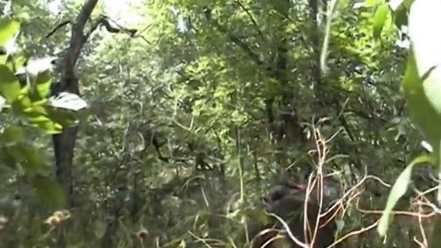 Слезы Солнца 2010 смотреть онлайн