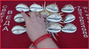 Гадание на ракушках ИСПОЛНЕНИЕ ЖЕЛАНИЯ #онлайн #таро Светлана ВЕДА