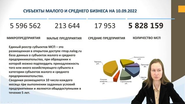 Особенности субъектов МСБ смотреть онлайн