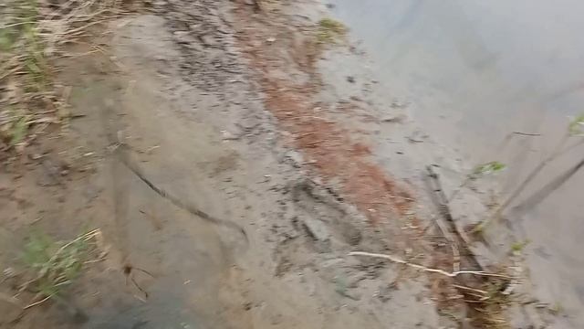 Рыбалка на р.Обь 9 Мая.Ловил рыбу, поймал сеть. смотреть онлайн