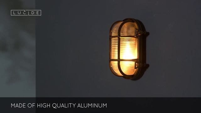 Уличный настенный светильник Lucide Dudley 11891/20/02