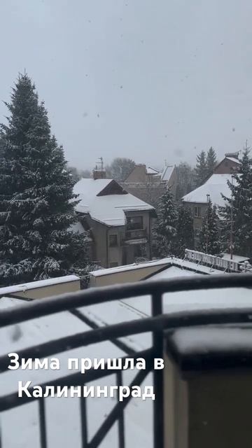 Первый снег в Калининграде смотреть онлайн
