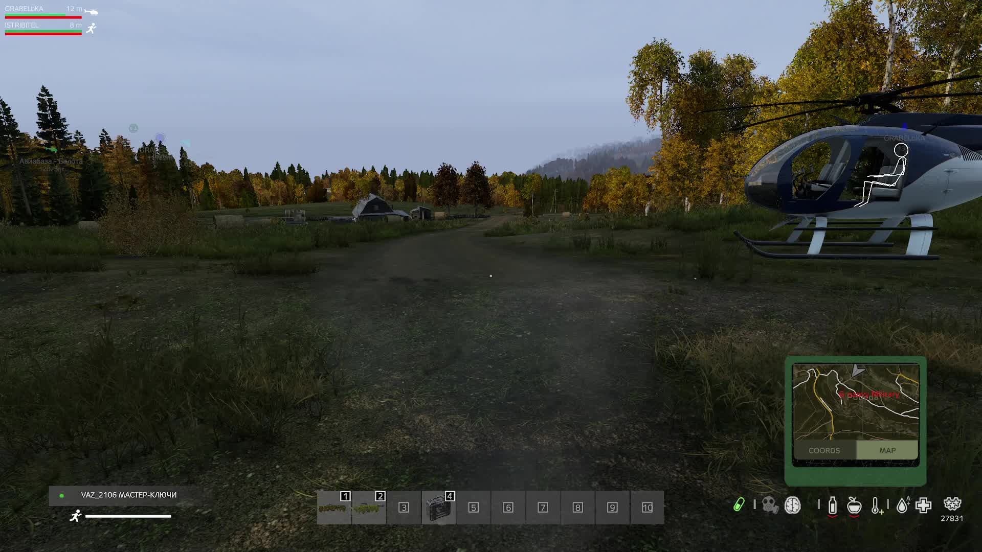 Dayz