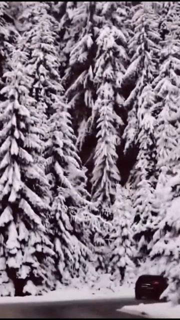 УЕХАТЬ БЫ КУДА-НИБУДЬ ПОДАЛЬШЕ... смотреть онлайн