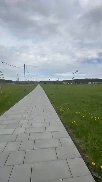 Дикая Мята. Часть 1 смотреть онлайн