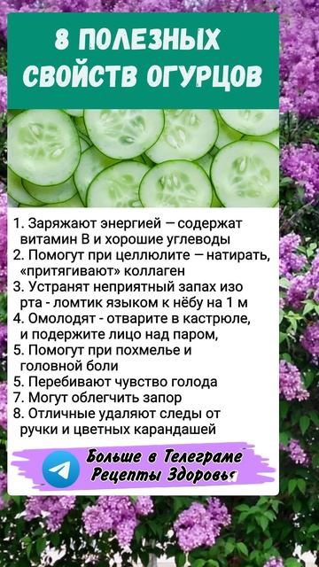 Огурец.. полезно знать смотреть онлайн