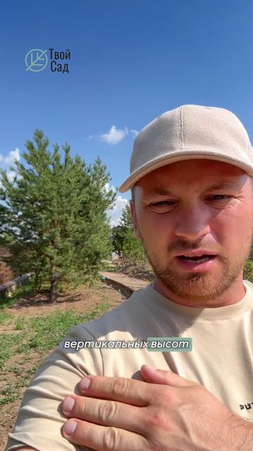 Подпорная стена #ландшафтныйдизайн #shorts смотреть онлайн