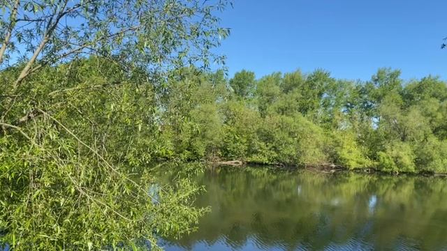 природа смотреть онлайн