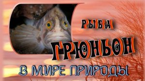 📗 "Грюньон" ~ СЛАЙДЫ | РАССКАЗ Христианский 👧☀️ АУДИОРАССКАЗ