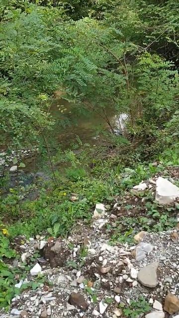 Мои путевые заметки! КАК ЗАРАБОТАТЬ В ИНТЕРНЕТ РЕАЛЬН? смотреть онлайн