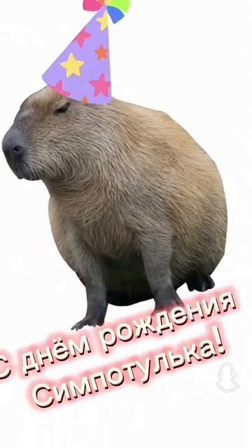 #ураааааа #рек #до моего день рождения 1 час 10 минут 😃 смотреть онлайн