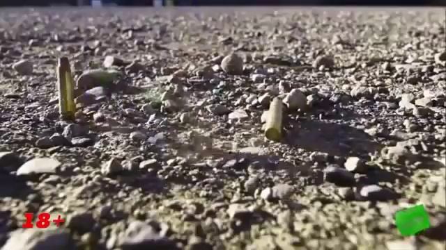 УБОЙНЫЕ ПРИКОЛЫ НАД ЛЮДЬМИ и всякими собаками. смотреть онлайн