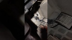 Вольво фш12 реле и датчик стоп сигналов.