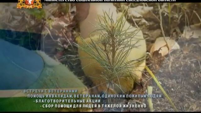 Ежегодная общероссийская добровольческая акция «Вес? смотреть онлайн