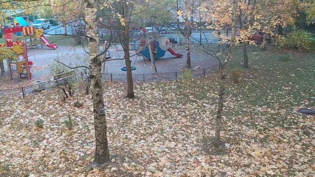 Золотая осень! 🍁🍂🍁Убралась в своём садике! смотреть онлайн