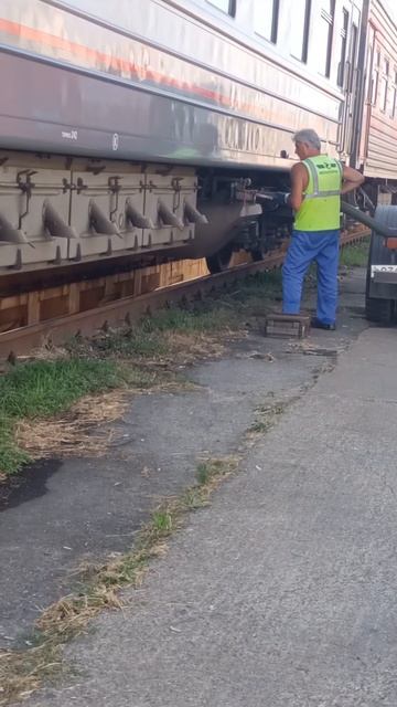 Адлер - откачка туалета #video #shortsyoutube #shortsvideo #shorts #адлер # смотреть онлайн