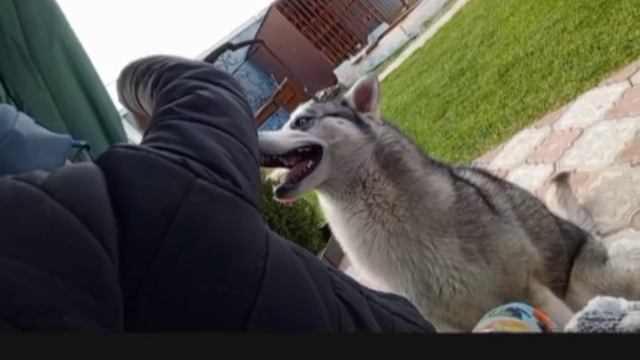 VLOG😝♥️мини влог как мы с Евой в гостях💓🩷РЕБОРН 😎приятного просмотра 🤍