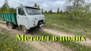 Металлокоп. Поиск с металлоискателем.