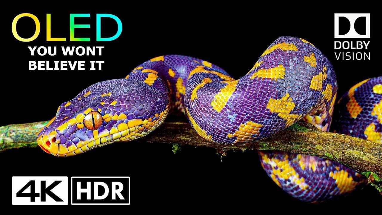 Вы не поверите, но это реально 4K HDR Dolby Vision - 4K Video ULTRA HD смотреть онлайн