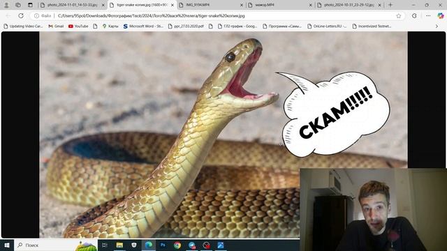СТОИТ ЛИ ЕЩЕ ТАПАТЬ В TELEGRAM? TGE MAJOR смотреть онлайн